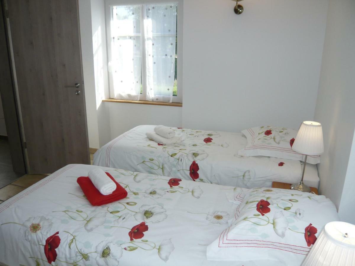 Maison Des Ecluses Strasbourg F3 90M2 Jacuzzi Climatisation Buitenkant foto