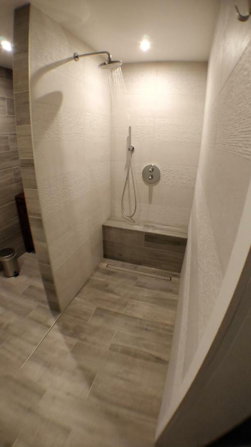 Maison Des Ecluses Strasbourg F3 90M2 Jacuzzi Climatisation Buitenkant foto